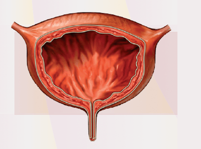 Signs of cystitis