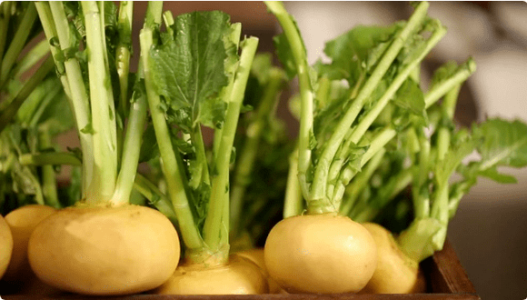 Rapa for cystitis